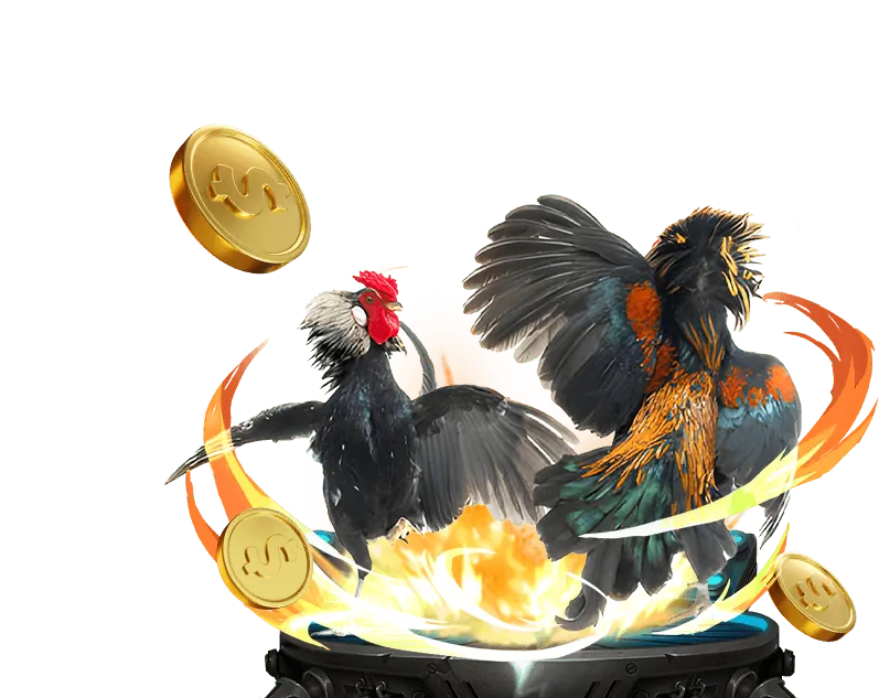 Khuyến mãi nạp lại hàng ngày và hoàn trả